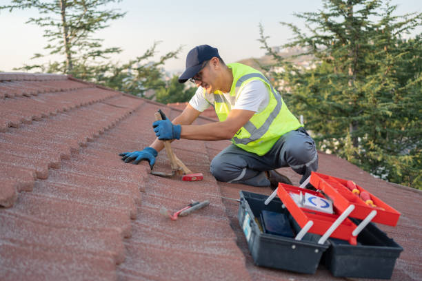 Best Roof Gutter Cleaning  in Richmond, CA